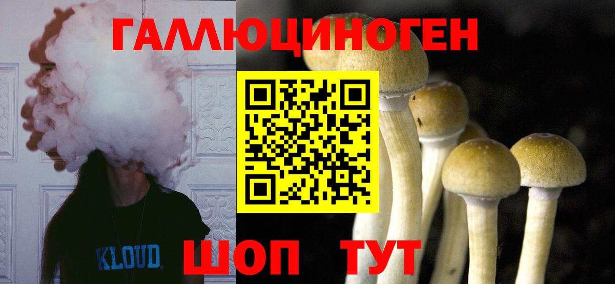 Галлюциногенные грибы Magic Shrooms Новоуральск